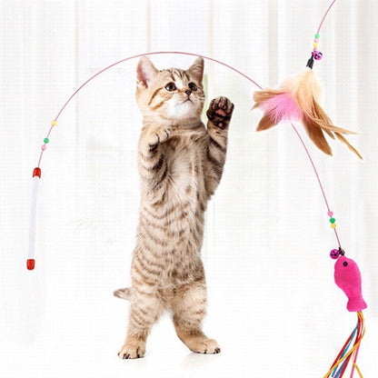 Cần câu mèo Petsonalize