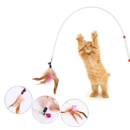 Cần câu mèo Petsonalize